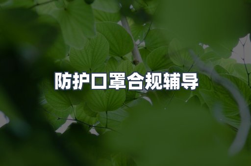 防护口罩合规辅导